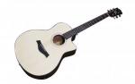 VERMONT G120CE-N CHITARRA ACUSTICA ELETTRIFICATA