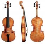 VIOLINO GERMANIA 11 CON SET UP (COLORI/MODELLO VARI)